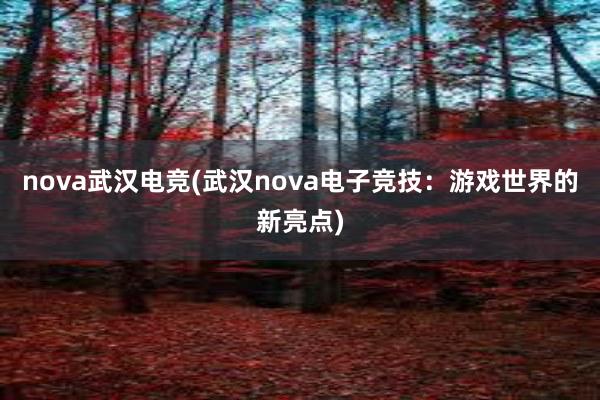 nova武汉电竞(武汉nova电子竞技：游戏世界的新亮点)