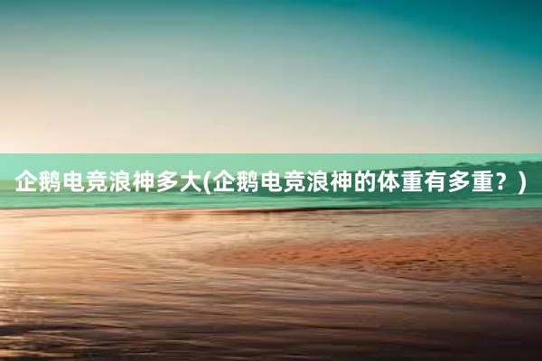 企鹅电竞浪神多大(企鹅电竞浪神的体重有多重？)