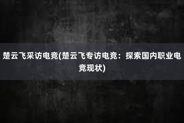 楚云飞采访电竞(楚云飞专访电竞：探索国内职业电竞现状)