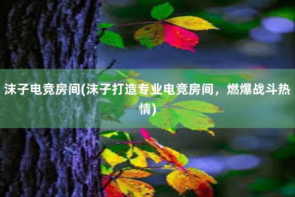 沫子电竞房间(沫子打造专业电竞房间，燃爆战斗热情)