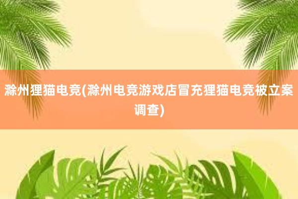 滁州狸猫电竞(滁州电竞游戏店冒充狸猫电竞被立案调查)