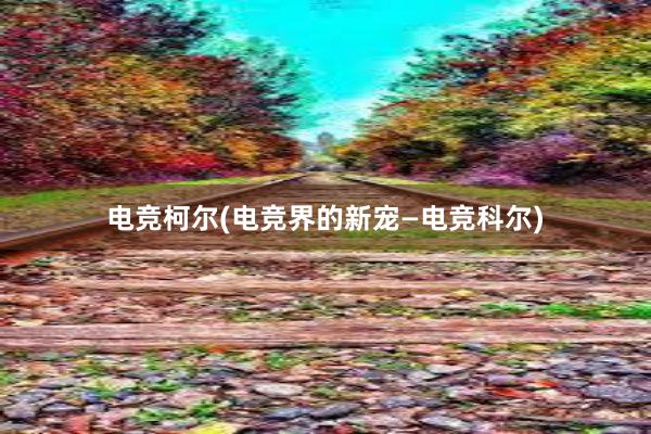 电竞柯尔(电竞界的新宠—电竞科尔)