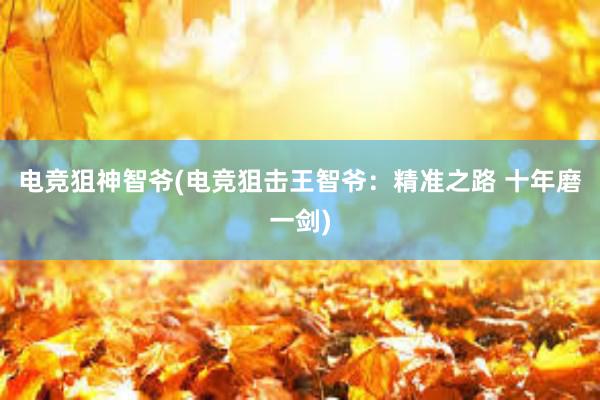 电竞狙神智爷(电竞狙击王智爷：精准之路 十年磨一剑)