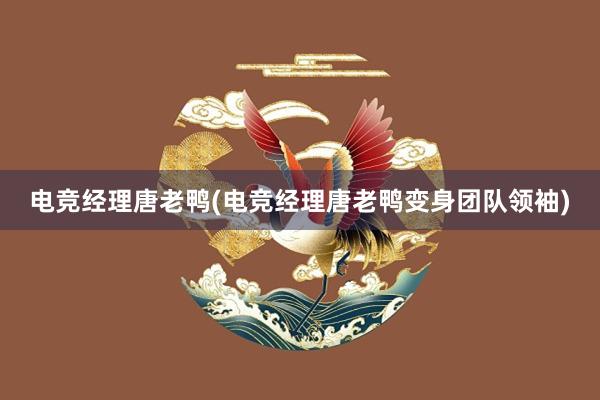 电竞经理唐老鸭(电竞经理唐老鸭变身团队领袖)