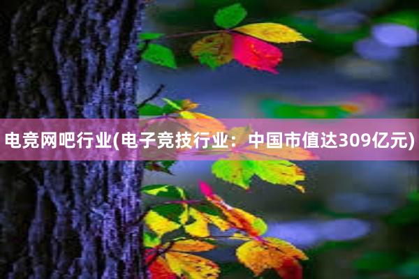 电竞网吧行业(电子竞技行业：中国市值达309亿元)