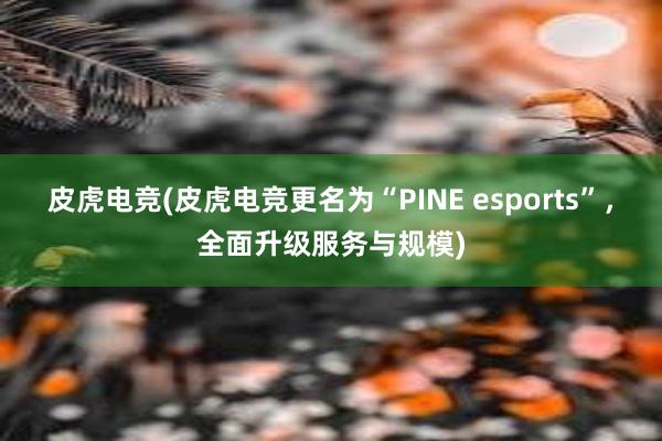 皮虎电竞(皮虎电竞更名为“PINE esports”，全面升级服务与规模)