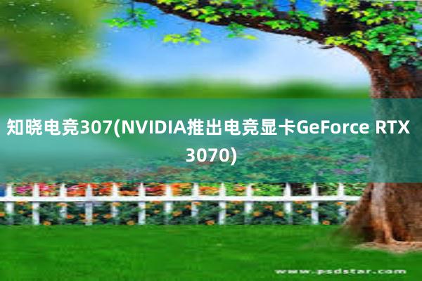 知晓电竞307(NVIDIA推出电竞显卡GeForce RTX 3070)