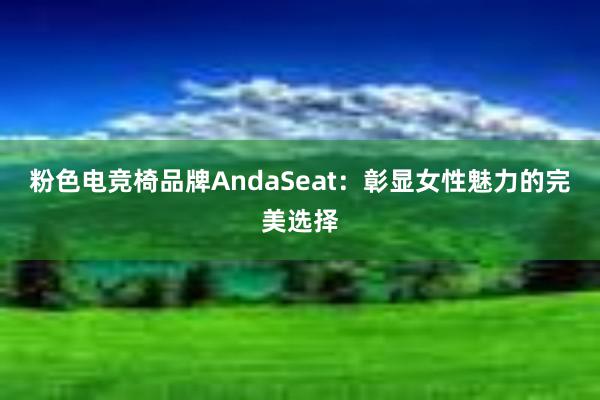 粉色电竞椅品牌AndaSeat：彰显女性魅力的完美选择