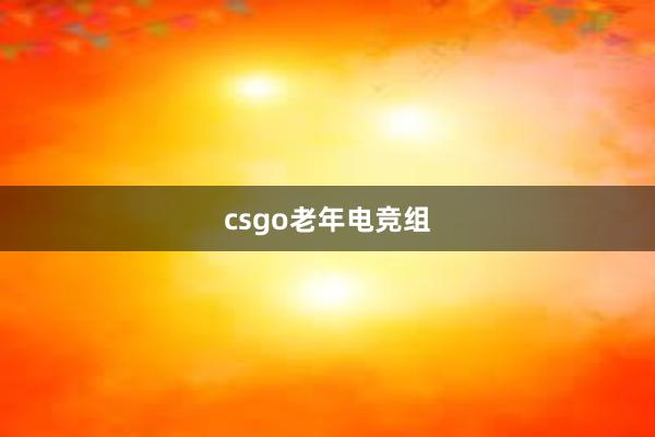 csgo老年电竞组