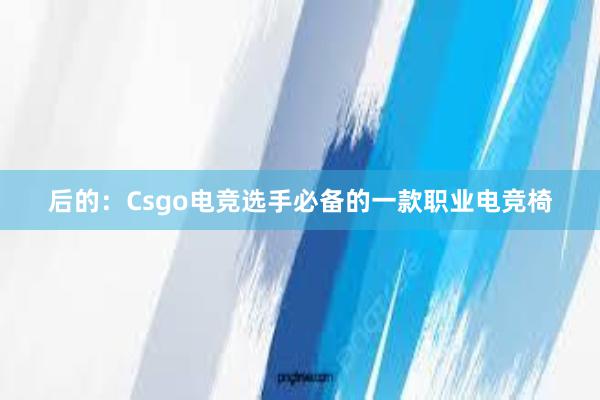 后的：Csgo电竞选手必备的一款职业电竞椅