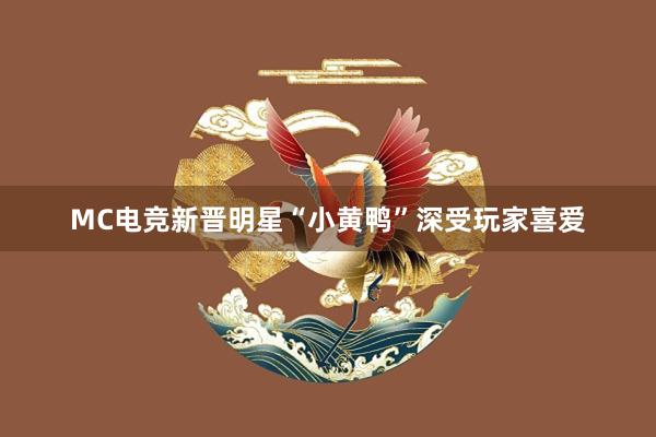 MC电竞新晋明星“小黄鸭”深受玩家喜爱