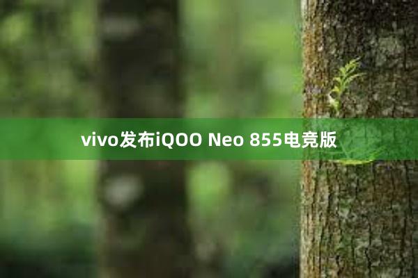 vivo发布iQOO Neo 855电竞版