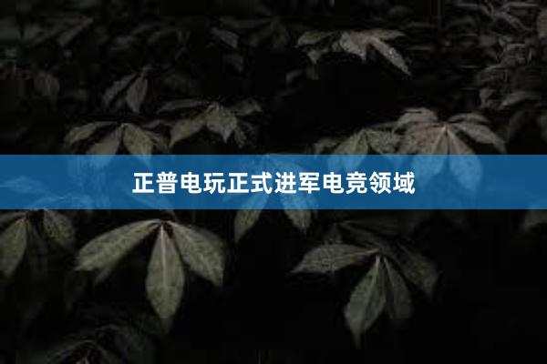 正普电玩正式进军电竞领域