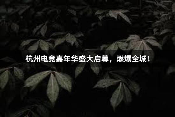 杭州电竞嘉年华盛大启幕，燃爆全城！