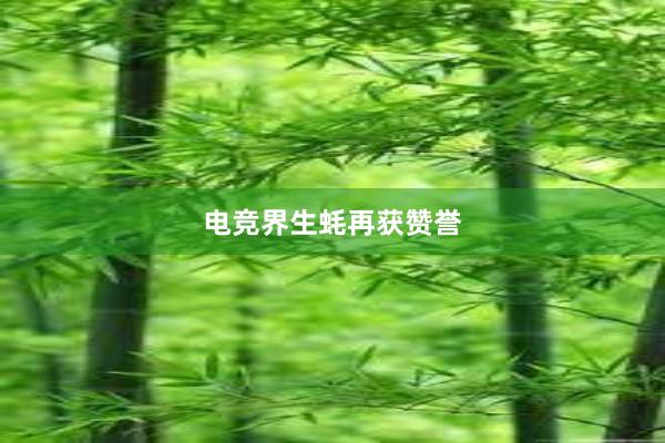 电竞界生蚝再获赞誉