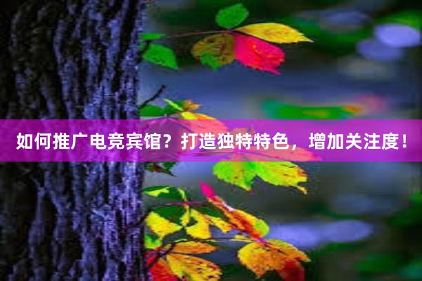 如何推广电竞宾馆？打造独特特色，增加关注度！