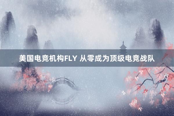 美国电竞机构FLY 从零成为顶级电竞战队