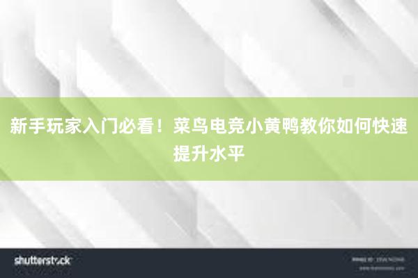 新手玩家入门必看！菜鸟电竞小黄鸭教你如何快速提升水平